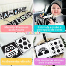 Baby's Contrast Book