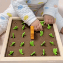 KidGarden - Horta Educativa Montessori