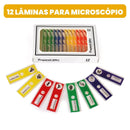 Microscopic - Microscópio Portátil Infantil: Explore o Mundo Microscópico de Forma Divertida e Educativa