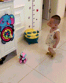Sticky Ball - Brinquedo Bola ao Alvo