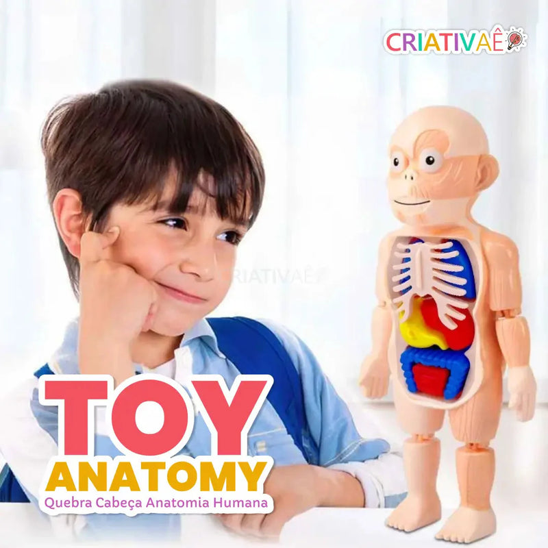 Toy Anatomy - Brinquedo Educacional de Anatomia Humana
